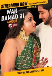 Wah Damad Ji 2024 NeonX Short Film Download (2024)