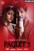 Paglet (2023) PrimePlay S03E01T03 Web Series Watch Online