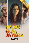 Naam Gum Jayega (2024) S01 Part 2 Web Series Download