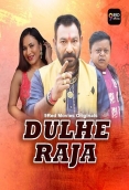 Dulhe Raja 2025 9redmovies S01E01T02 Web Series Download