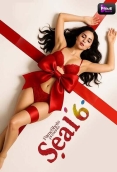 Seal 6 (2025) PrimeShots S06 E01-03 Web Series