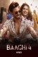 Baaghi 4 (2025) Hindi HDRip Movie